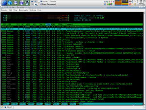 IE6 under Linux: high CPU use