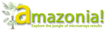 Amazonia!
